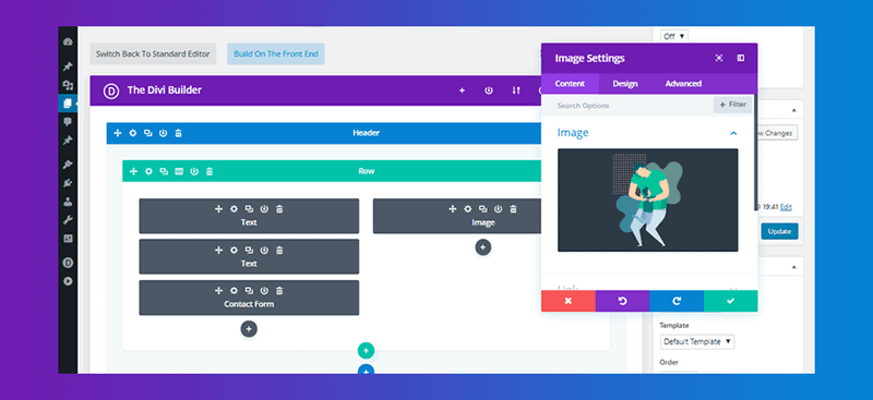 Divi plugin interface